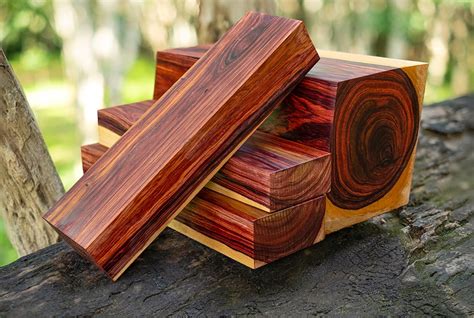 17 Most Expensive Wood - Can You Name Them? - Homenish