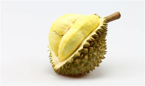 Durian Seed Gum Makes A Great Food Stabilizer - Asian Scientist Magazine