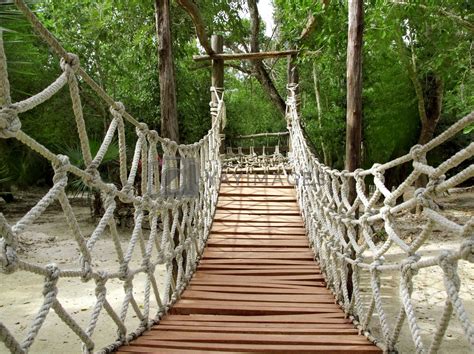 Adventure wooden rope jungle suspension bridge by lunamarina Vectors ...