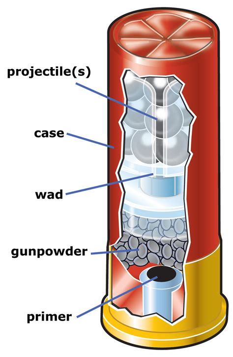 Basic Components of Shotgun Shell