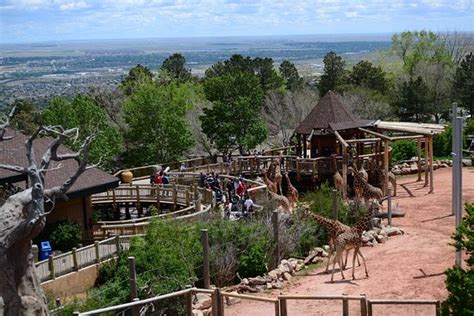 The Cheyenne Mountain Zoo is a MUST-SEE! - Review of Cheyenne Mountain Zoo, Colorado Springs, CO ...