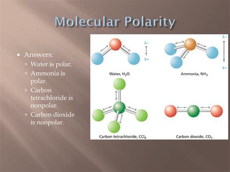 Ppt - Polarity Powerpoint Presentation, Free Download - Id:5688400 D0B