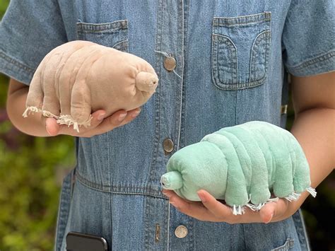 Tardigrade/water Bear Handmade Plushie - Etsy