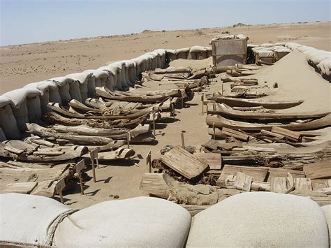 Tarim Basin mummies: retracing the origins of China's ancient settlers