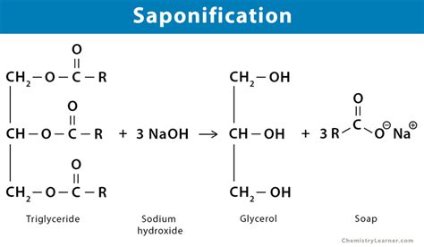 Saponification