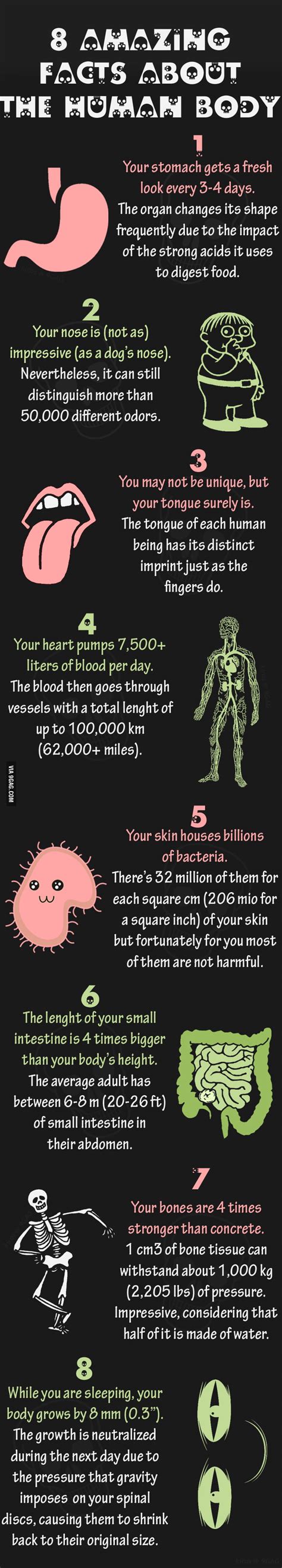 Science Facts About Human Body