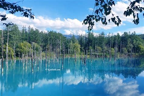 blue_pond_summer_biei_hokkaido_japan | Kyuhoshi