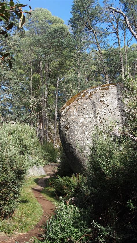 Baw Baw National Park - Baw Baw VIC 3833, Australia