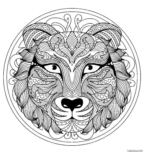 Lion Mandala Animal Coloring Page » Turkau
