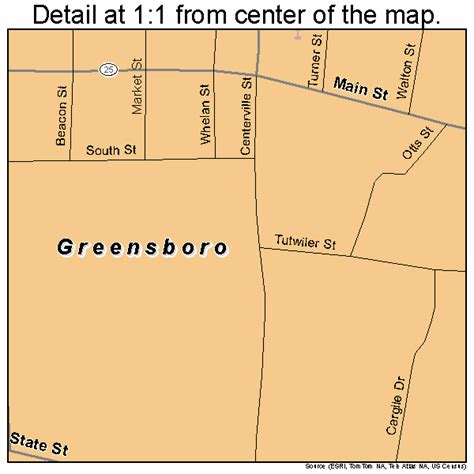 Greensboro Alabama Street Map 0131720