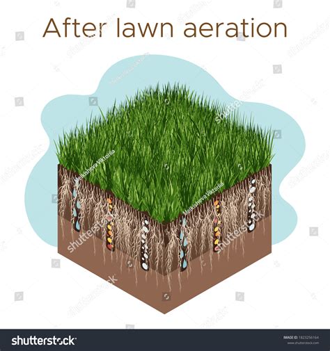 Lawn Care Aeration Scarification Labels By Stock Vector (Royalty Free ...