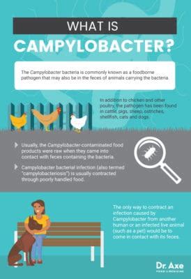 Campylobacter Causes & Symptoms + What to Do - Dr. Axe