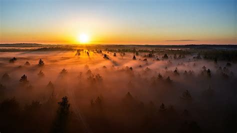 Earth, Fog, Forest, Horizon, Lithuania, Nature, Sunset, HD wallpaper | Peakpx