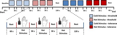 Stimulation paradigm. Pain threshold test was first measured and ...