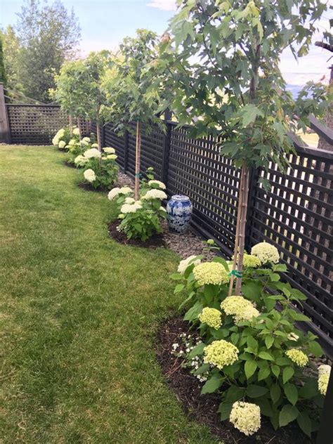 25 Unique Garden Fence Ideas With Plants To Your Privacy – Best Mystic Zone