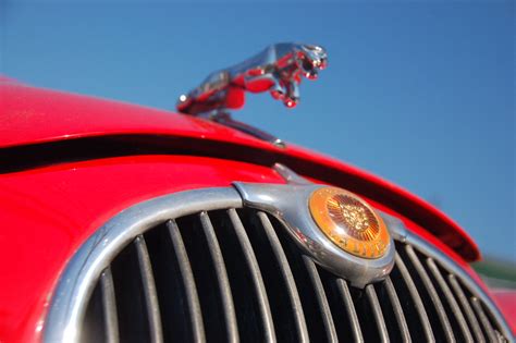 Red Jaguar Mark 1: View up at the chrome jaguar leaping of… | Flickr