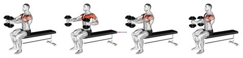 Dumbbell Seated Upright Alternate Squeeze Press - Home Gym Review