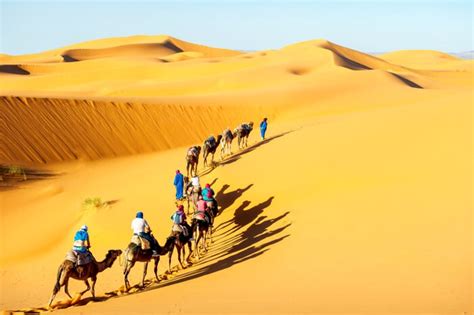 Desert Safari in Jaisalmer, Rajasthan - Camel Safari & Jeep Safari