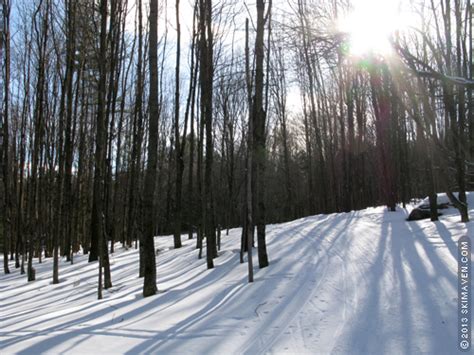 A sunny, chilly cross-country ski at Ole's in Warren, Vt. - SkiMaven