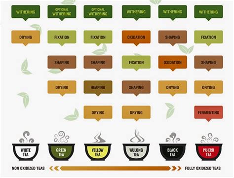 An Introduction to the Types of Tea Processing - oolong tea