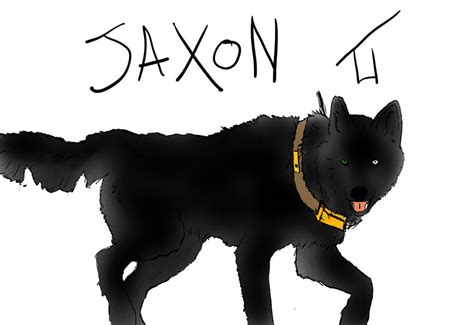 Jaxon by RedRainDropsDog on DeviantArt