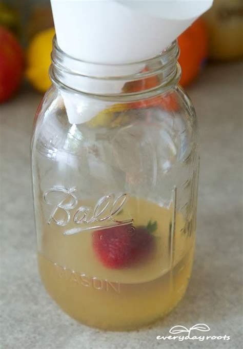 4 Homemade Traps to Get Rid of Fruit Flies | Fruit fly trap, Fruit ...