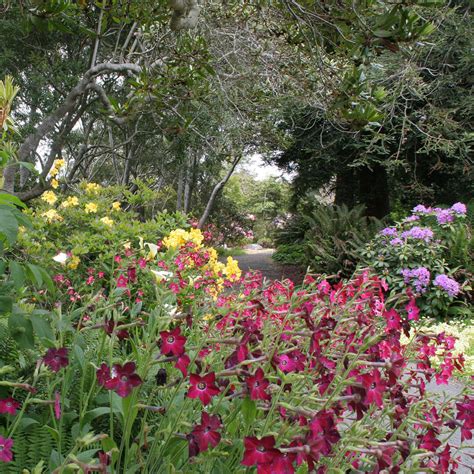 Mendocino Coast Botanical Gardens in Fort Bragg, CA (3 Photos)