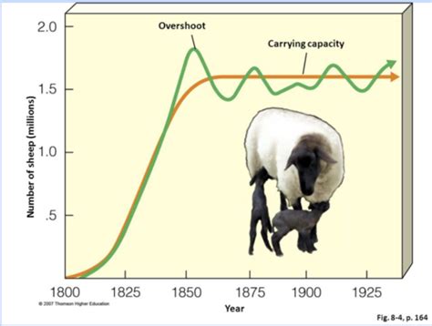 Population Ecology & Dynamics Flashcards | Quizlet