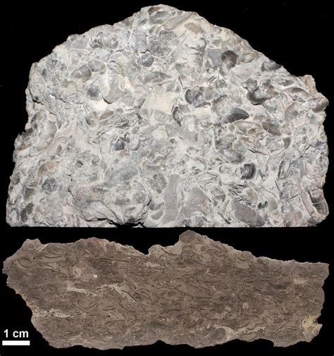 3.5: Non-Silicate Minerals - Geosciences LibreTexts