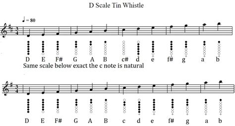 Learn how to play the tin whistle, easy to follow instructions using letter notes included ...