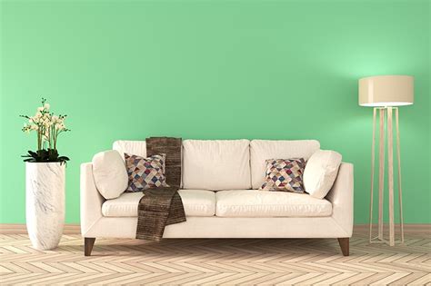 What Color Goes With Green Bedroom Wall Painting Colours To Living Room ...