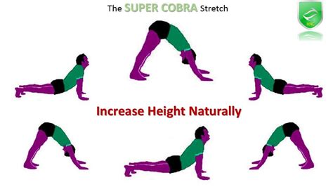 How to grow tall increase height exercise (Super Cobra Stretch ... (With images) | Increase ...