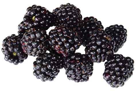 Download Blackberry Fruit PNG Image for Free