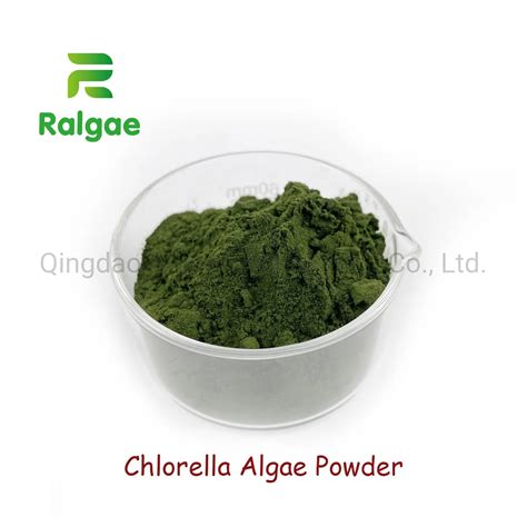 Natural Microalgae Chlorella Algae Powder Feed Grade High Protein ...