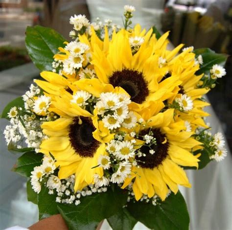 Sunflowers and daisies :) | Bridal sunflowers, Sunflower bridal bouquet, Rustic wedding flowers