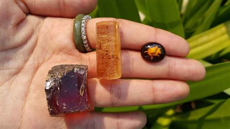 Amber, fossilized tree resin - New update 2024 - Great video