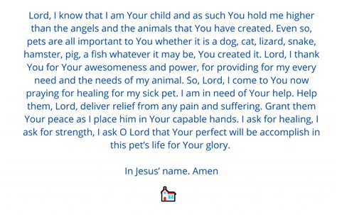 Prayer for sick dog - Prayer | Simple Faith