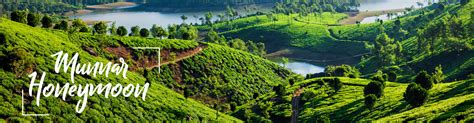 Munnar Honeymoon Packages: Best Deals on Munnar couple packages | SOTC