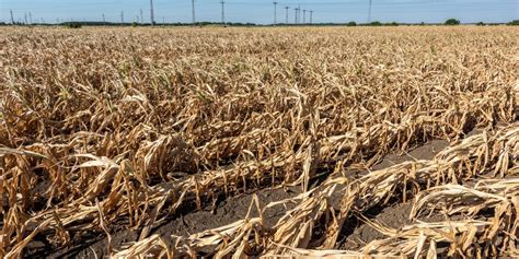 Understanding the Impact of Midwest Flash Droughts on Crops and Beyond