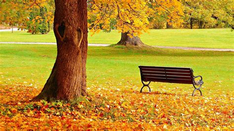 Tuyển chọn 50+ Hình nền phong cảnh mùa thu đẹp nhất Cho màn hình Retina