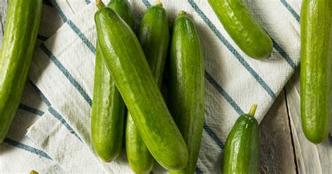 Persian Cucumber Growing & Care Guide - The Garden Magazine