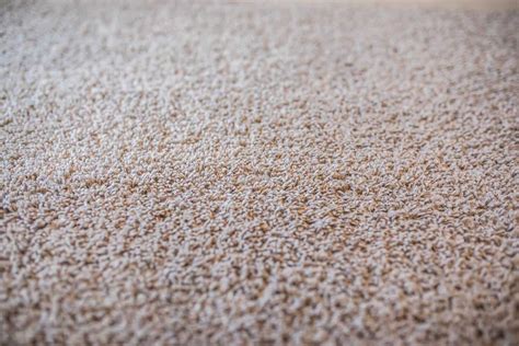 Nylon Vs. Polyester Carpet - Which is the Best Choice?