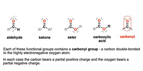 Functional Groups