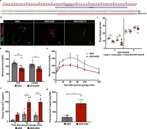 Design and characterization of GKO-NSG mice Related to Fig. 1. (a ...