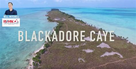 RE/MAX Belize Agent Will Mitchell Releases HD Drone Video of Actor Leonardo DiCaprio's Private ...