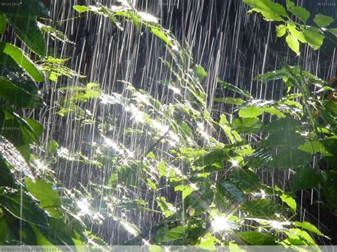 Agua de lluvia, una alternativa para generar riqueza en el mundo