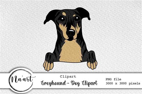 Greyhound - Dog Clipart Graphic by Na'Art · Creative Fabrica