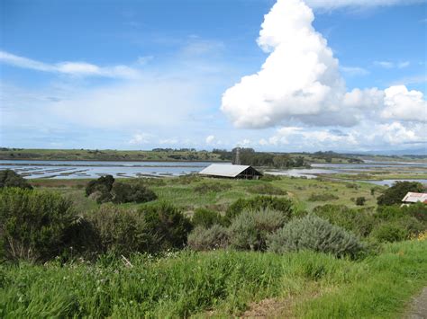 Reserve Opening POSTPONED | Elkhorn Slough