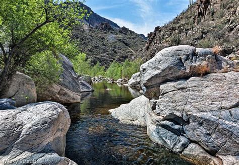 Sabino Canyon - Arizona