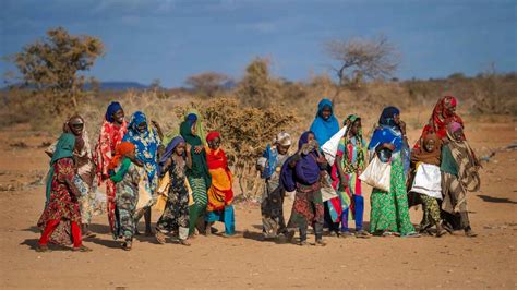 Verity - Report: Southern Somalia May Experience Catastrophic Famine